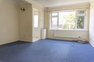 Lounge- click for photo gallery